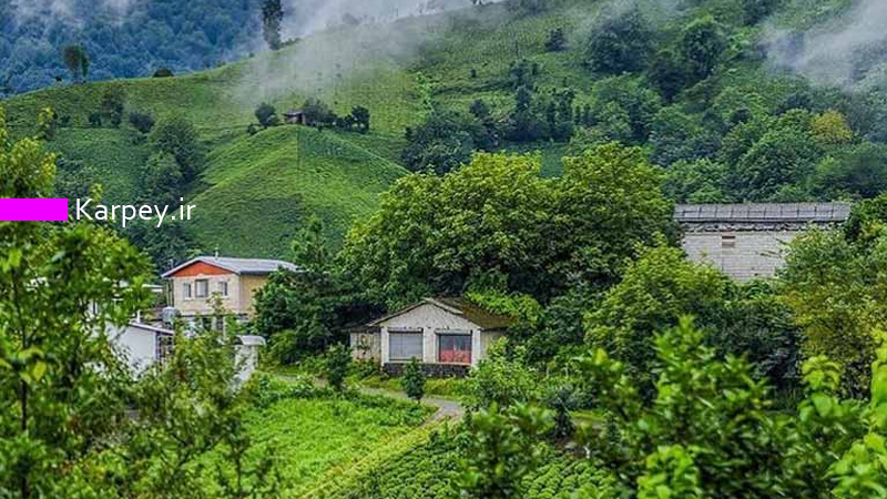 مزایا و معایب خرید ویلا در شمال؛ راهنمای کارپی برای سرمایه‌گذاری هوشمندانه
